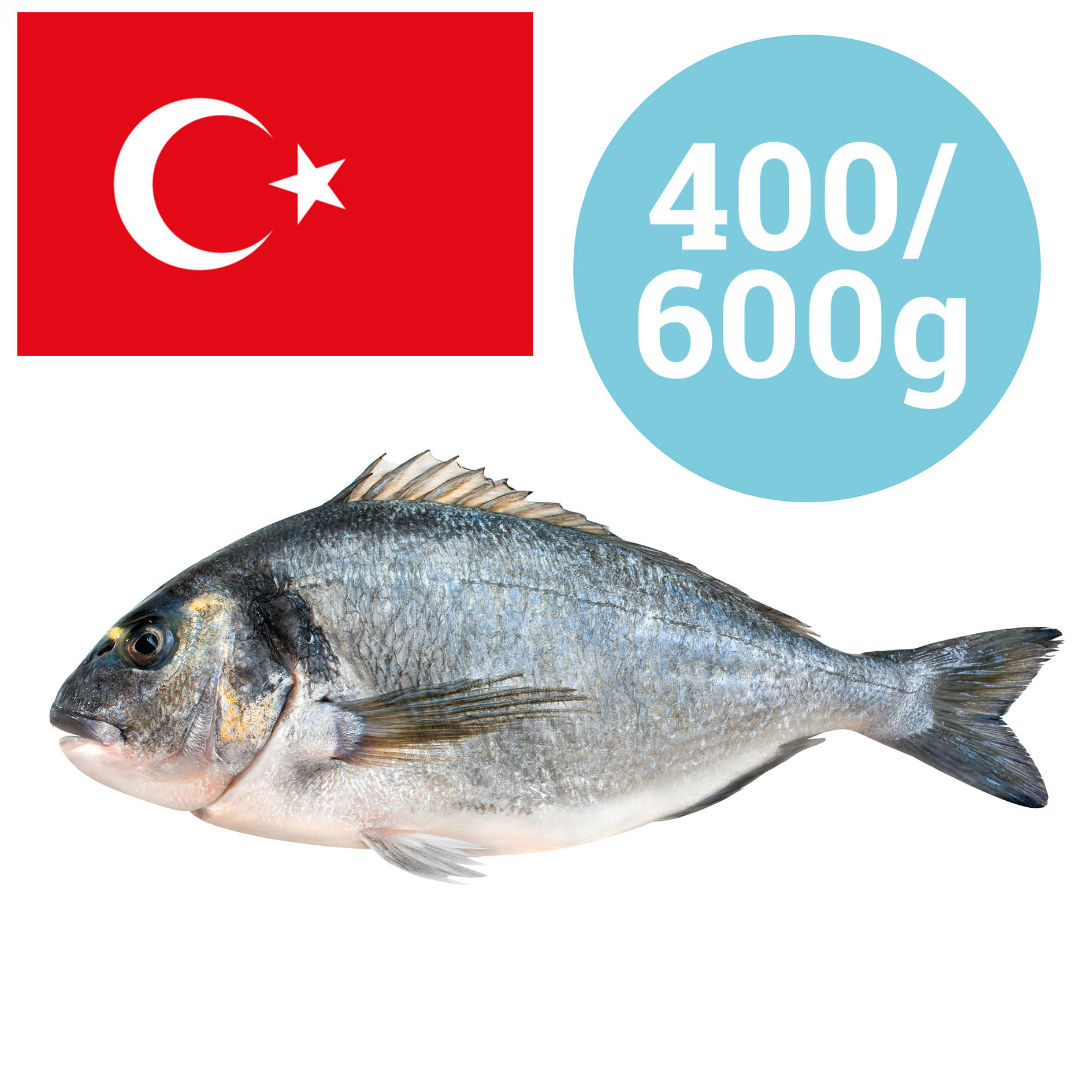 GOLDBRASSE TÜRKEI 400-600g GEZÜCHTET