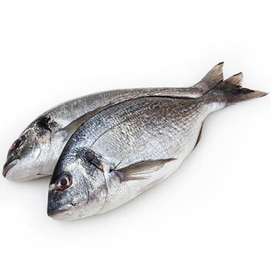 GOLDBRASSE MEDITERRANEO 1-2kg WILDFANG