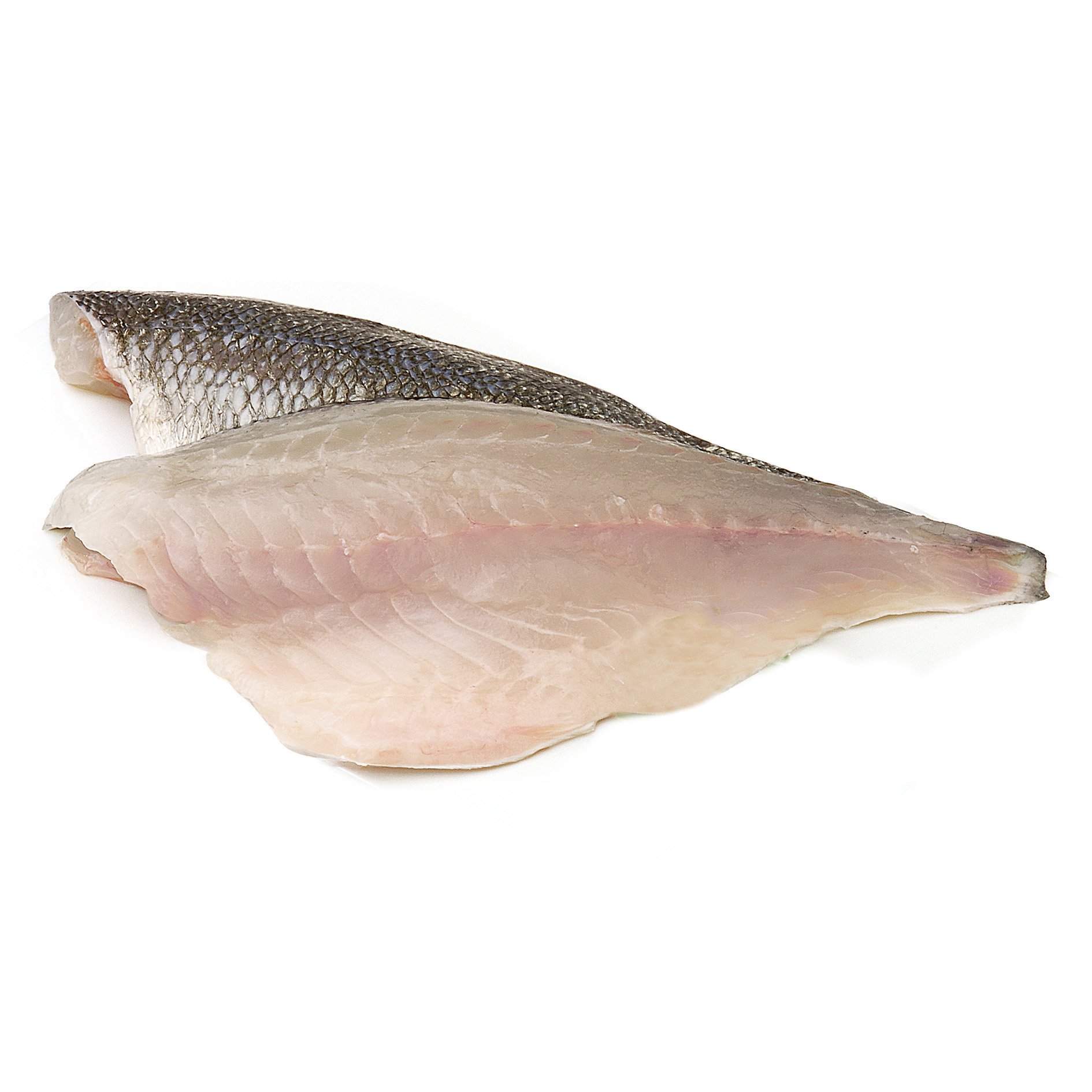 GOLDBRASSEFILETS 140-180g GEZÜCHTET TUNISIA