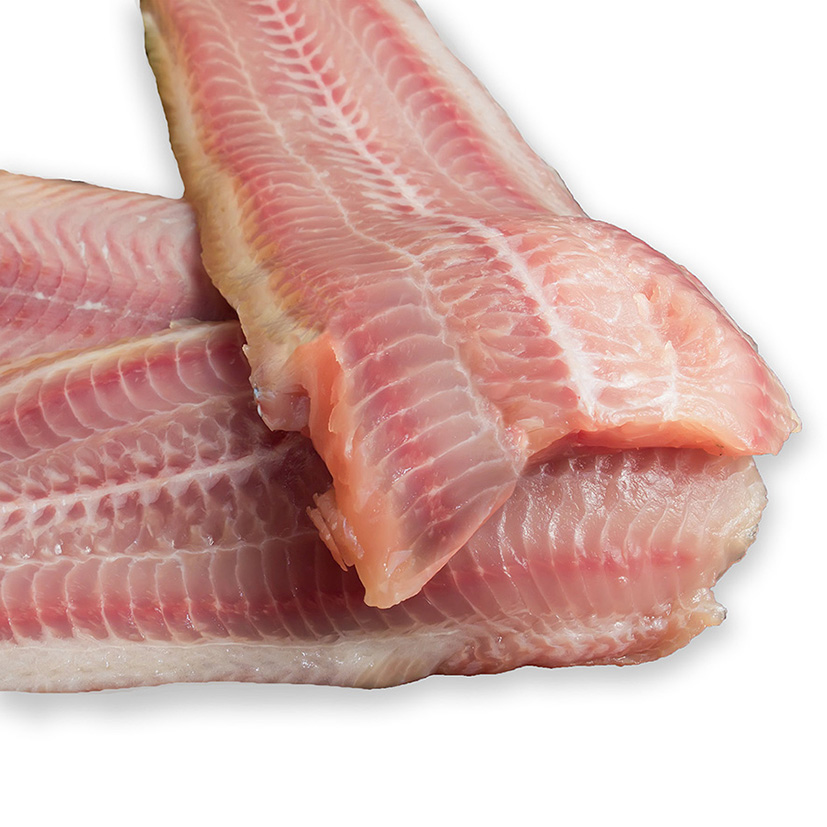 FILETTO PESCE GATTO DA AQUAPONICA 'SOLOS FISH'