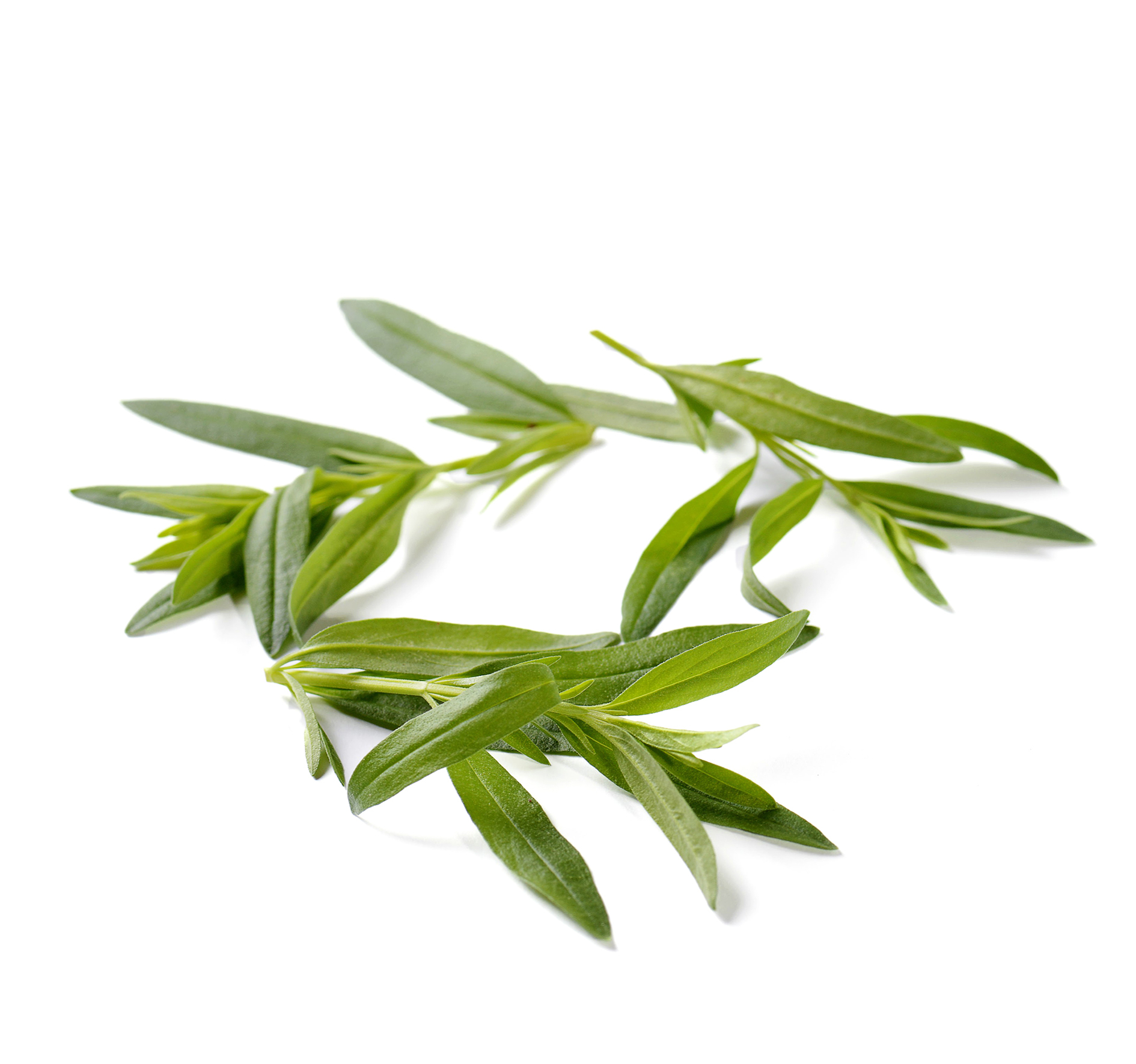 ALPIN HERBS 35 PUNTE DRAGONCELLO 15g