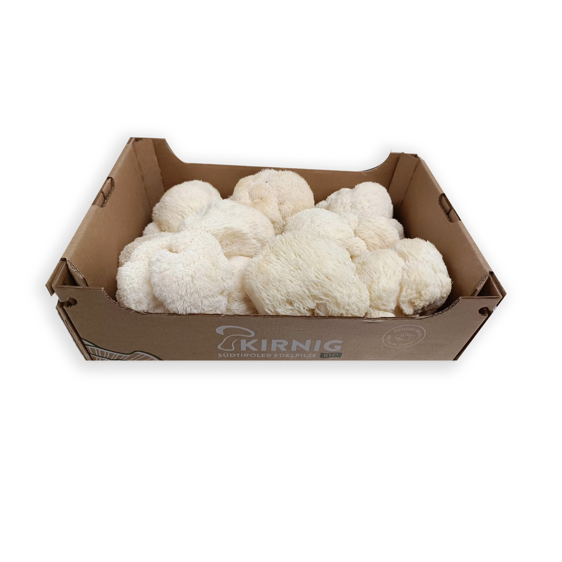 LÖWENMÄHNENPILZE BIO* FRISCH 1kg KIRNIG
