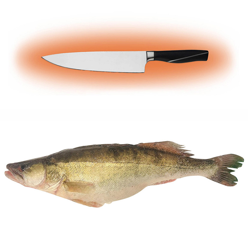 LUCIOPERCA  3kg+ LAVORATO