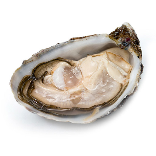 OSTRICA CONCAVA COCOLLOS NR.3 1X2,5kg