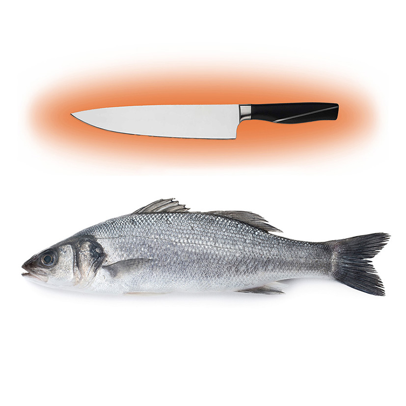 WOLFSBARSCH MITTELMEER 2-3kg WILDFANG VERARBEITET