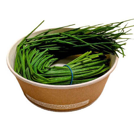 ALPIN HERBS ERBA DA CUCINA ERBA CIPOLLINA 50g