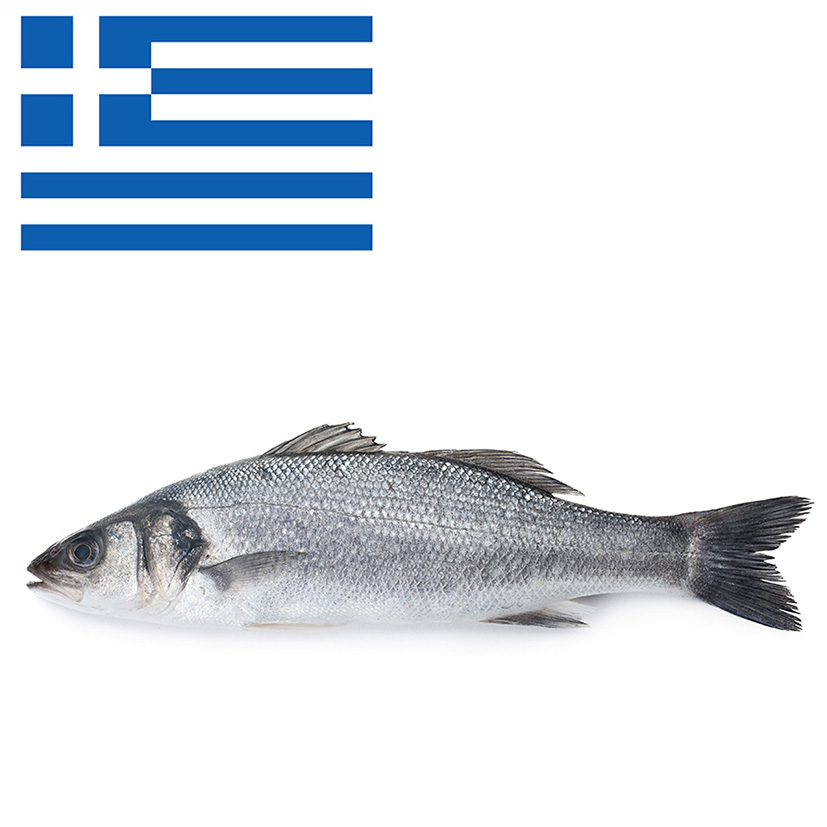 BRANZINO 400-600g ALLEVATO GRECIA
