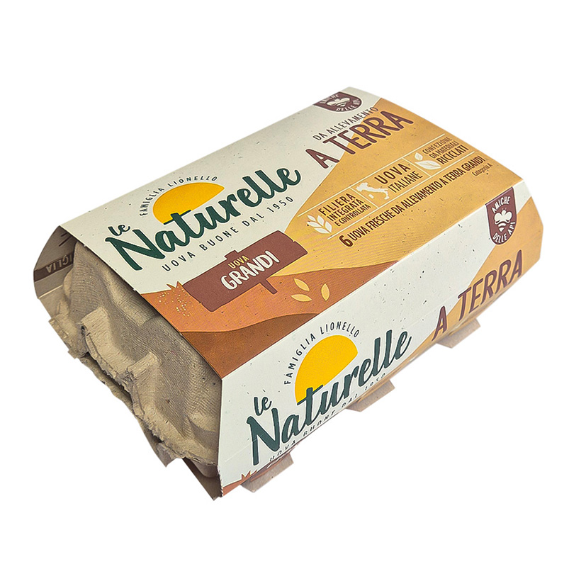 EIER NATURELLE A TERRA VERP. (L) 63-73g 6 STÜCK