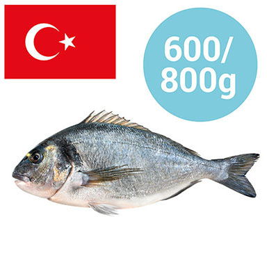 GOLDBRASSE TÜRKEI 600-800g GEZÜCHTET