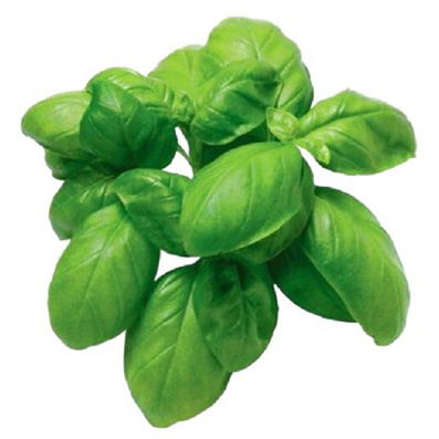ALPIN HERBS GENOVESER BASILIKUM 1kg