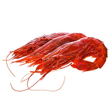 GAMBERO ROSSO I^
