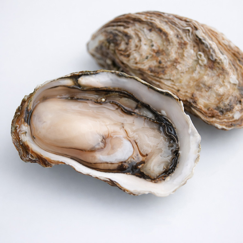 AUSTERN KONCAV SP.TENTATION N.3 - 1x3kg