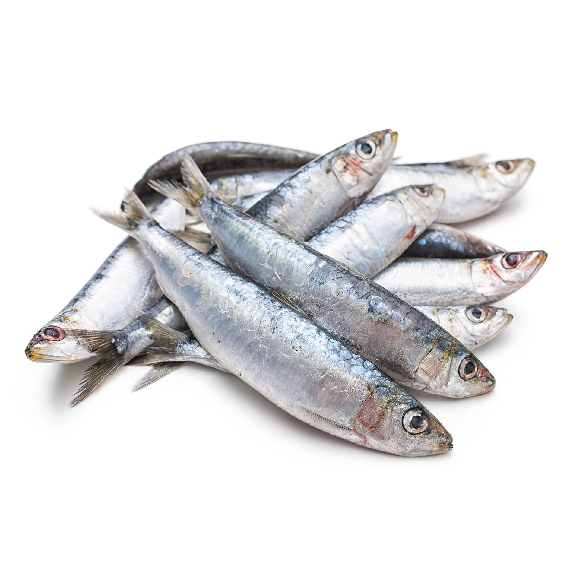 SARDINEN KROATIEN