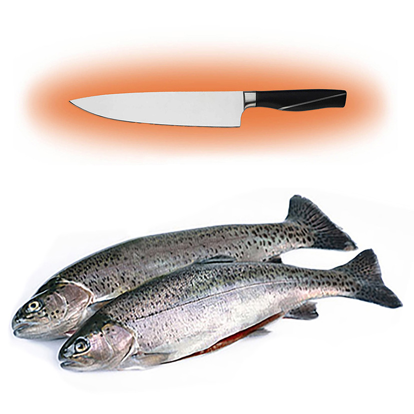 TROTA IRIDEA SALMONATA 2-4kg TN LAVORATA
