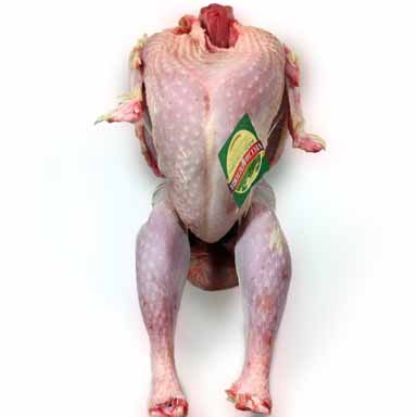 TRUTHAHN MIDI GEPUTZT FRISCH