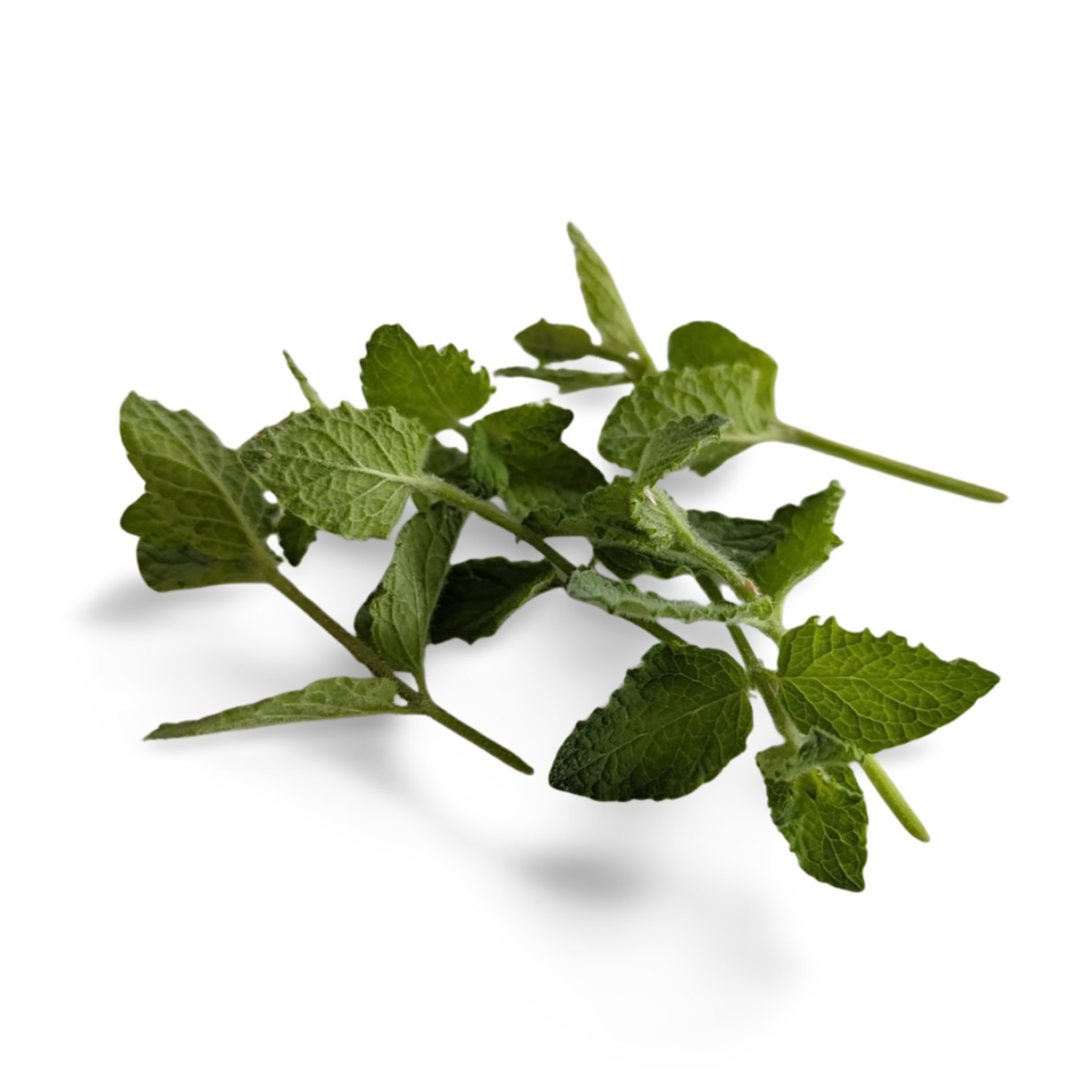 ALPIN HERBS 35 PUNTE DI MENTA ALLA FRAGOLA 10g