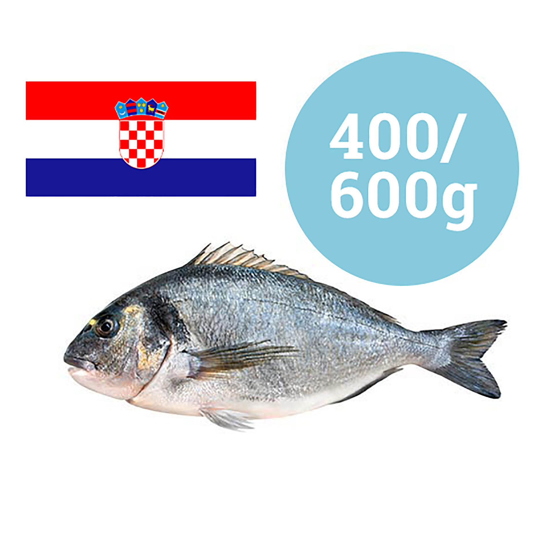 ORATA CROAZIA 400-600g ALLEVATA