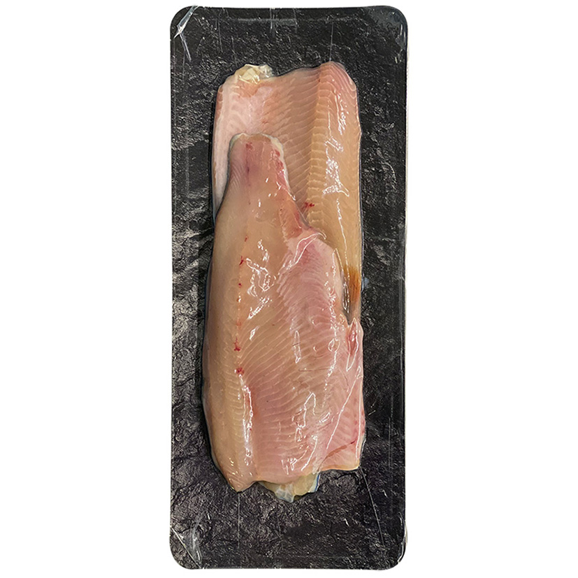 SALMERINO FILETTO TN 2x 100-160g 'FOPPA-FISH'
