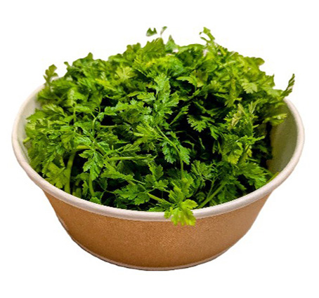 ALPIN HERBS KÜCHENKRÄUTER KERBEL 50g