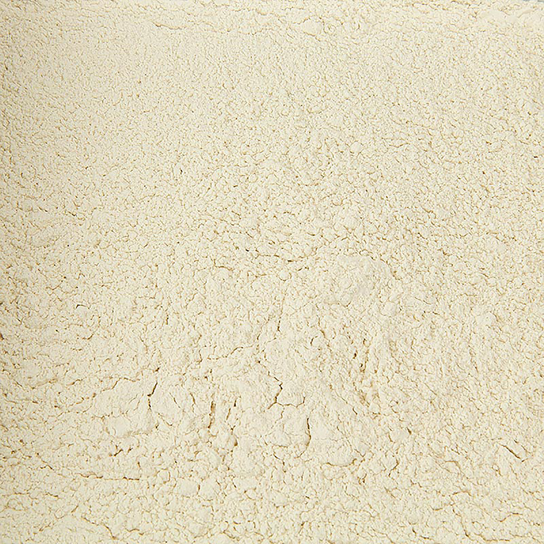 ZWIEBEL PULVER 1kg