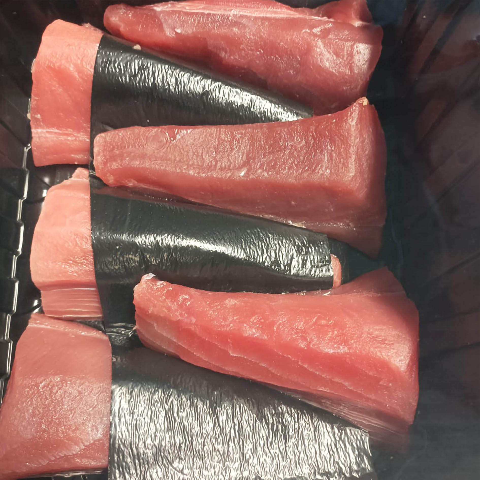 CODE DI TONNO PINNE GIALLE DEC. DYPFROZEN