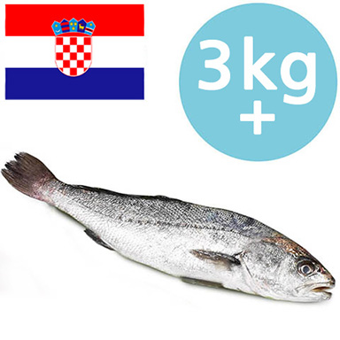 OMBRINA BOCCADORO CROAZIA 3kg+ ALLEVATA