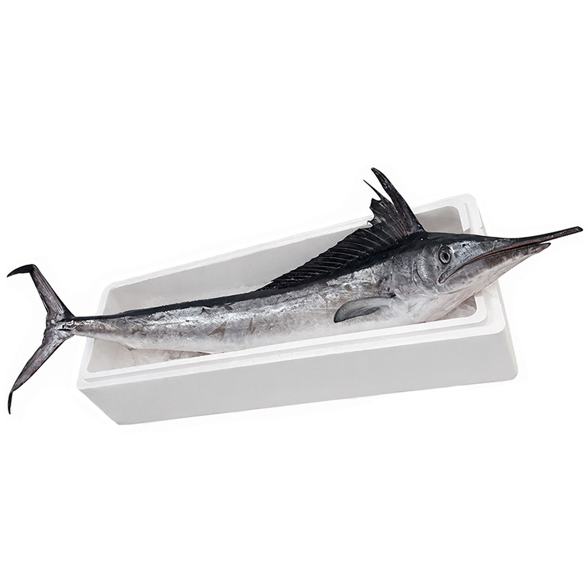 HORNHECHT AGUGLIA IMPERIALE 5-10kg