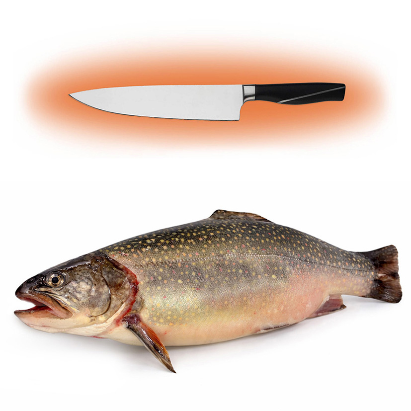 SALMERINO ALPINO 1-3kg LAVORATO